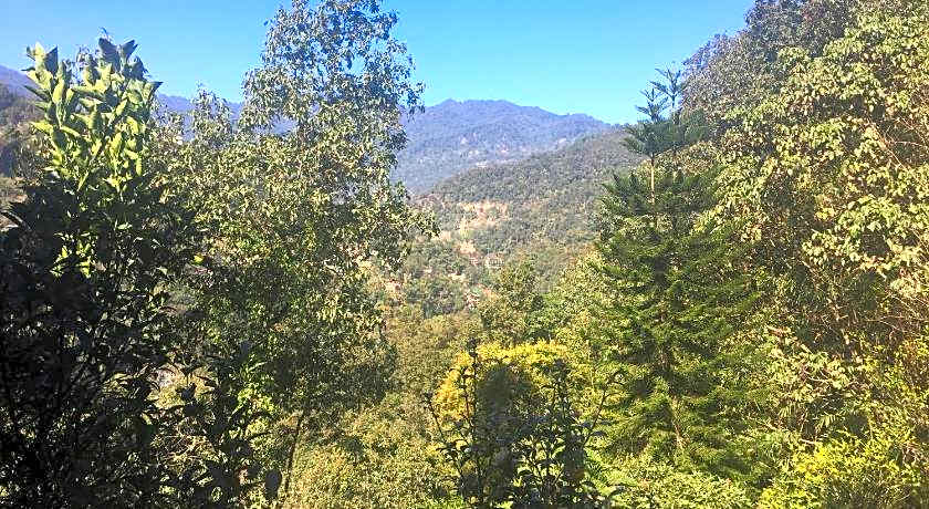 Sterling Gangtok Orange Village Resort