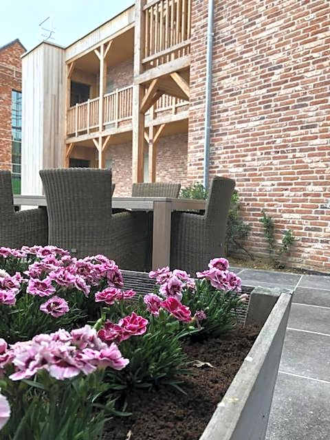 B&B Sasput