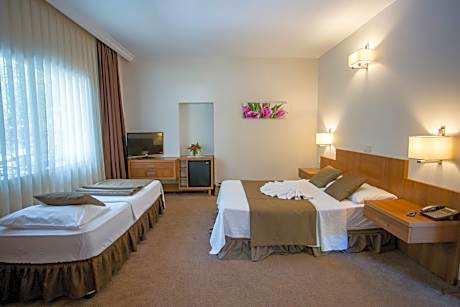 Triple Room with Garden View