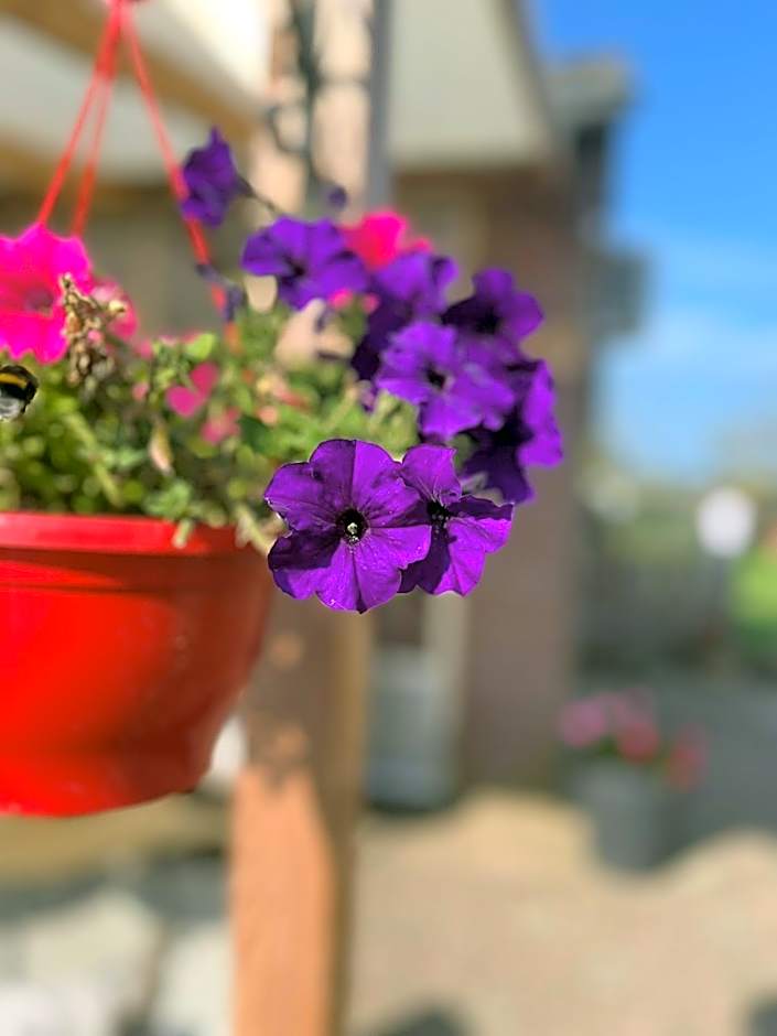 B&B Het Gelders Buitenleven