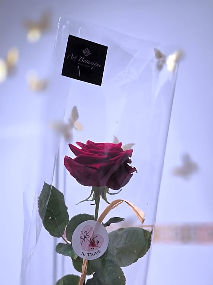 Maison équipée avec petit déjeuner gratuit - balnéo- sauna - siège massant et pièce secrète