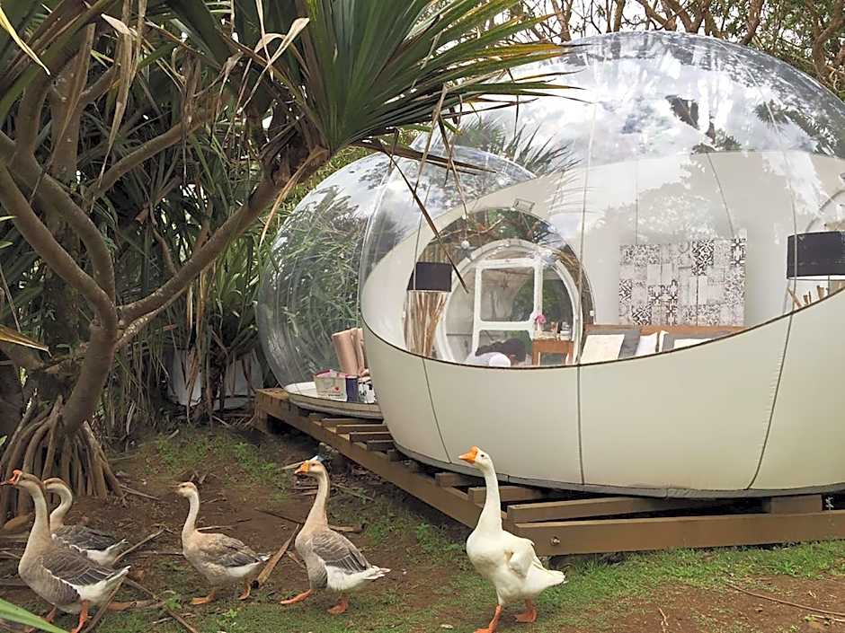 Bubble Lodge Bois Chéri Plantation