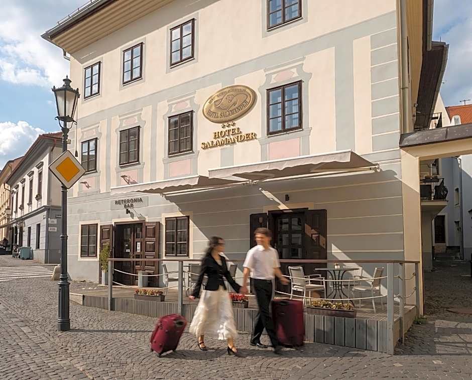 Hotel Salamander - Garni