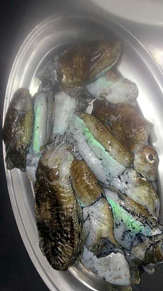 La Valle Verde hotel ristorante pizzeria