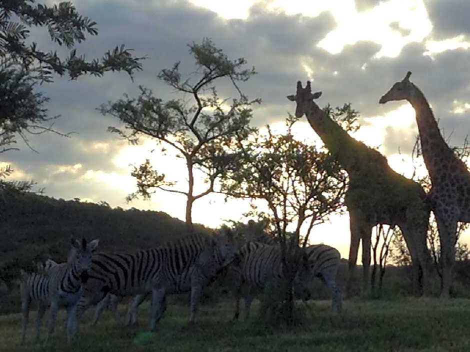 Khululeka Safaris Lodge