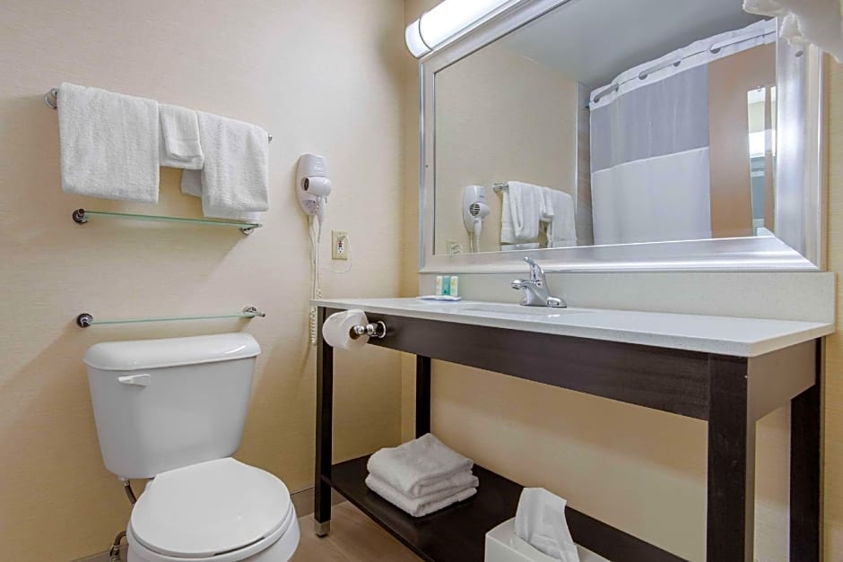 Quality Inn & Conference Centre Downtown