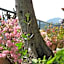B&B I Glicini