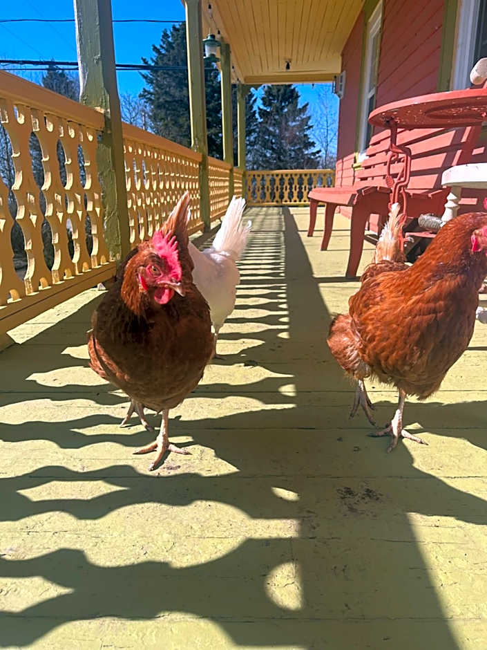 Gite de la Baie Hatée