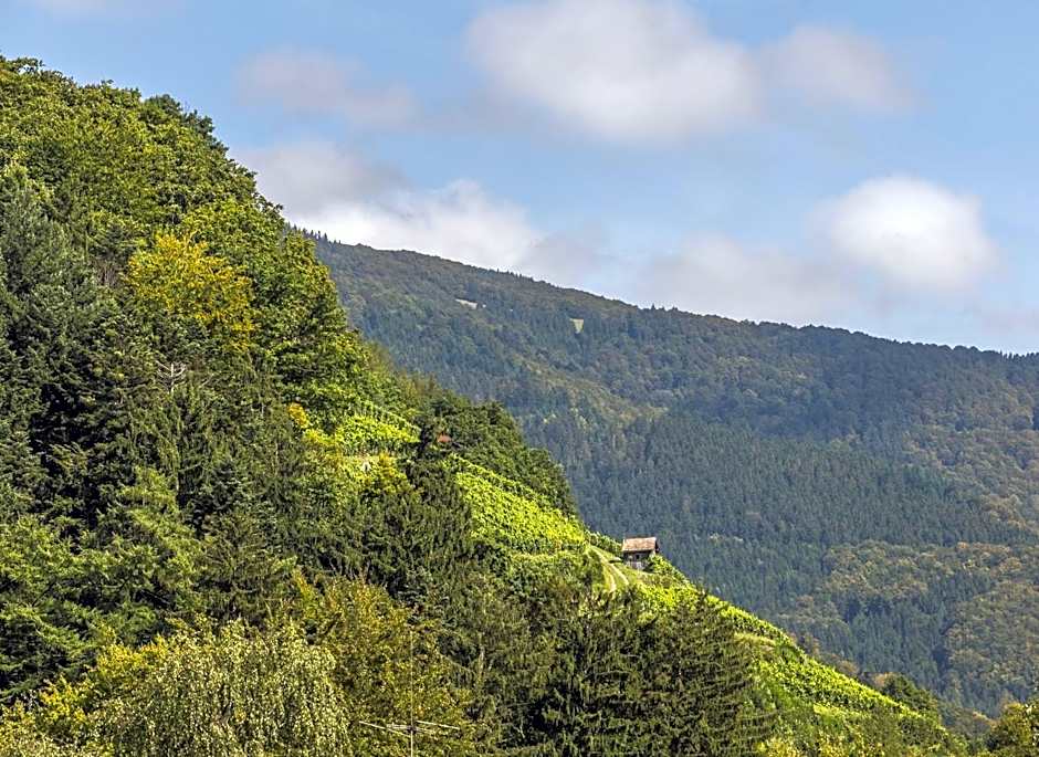 Hotel-Gasthaus Goldener Engel