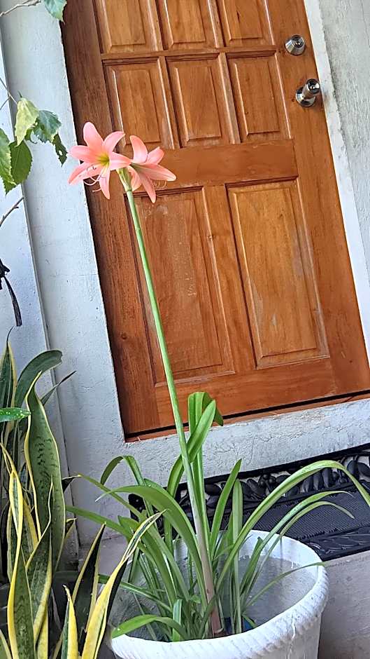 Susing Seaside Guesthouse