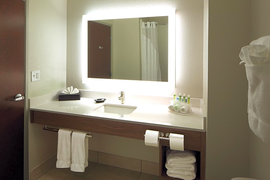 Holiday Inn Express Hotel & Suites Atlanta Airport West - Camp Creek By IHG