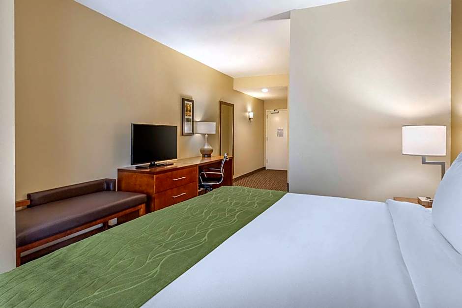 Comfort Inn & Suites Florence Center Area