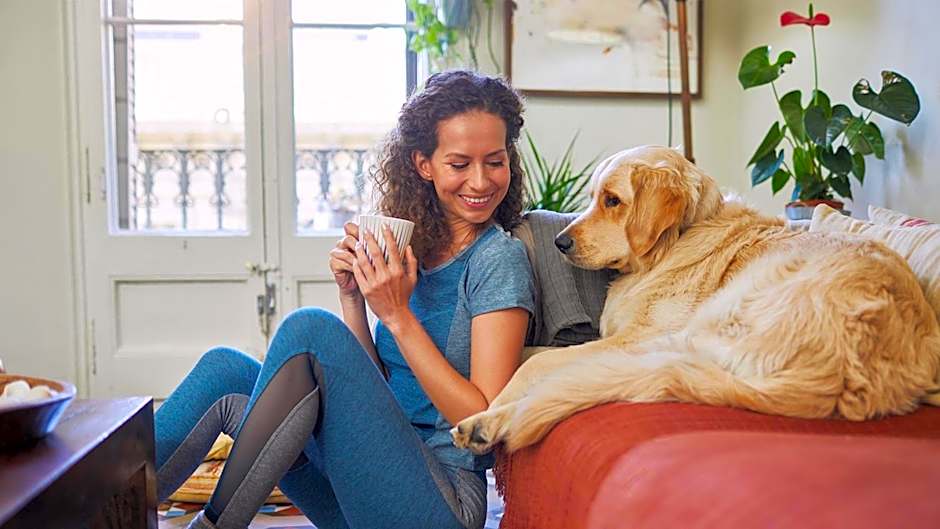 Staybridge Suites AUBURN HILLS By IHG