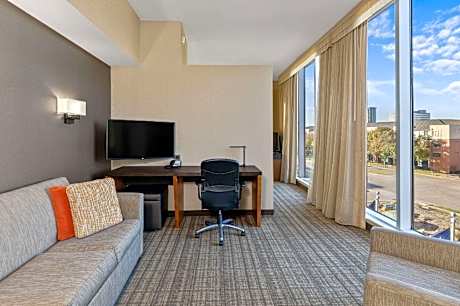 1 King Bed, Suite, Nonsmoking