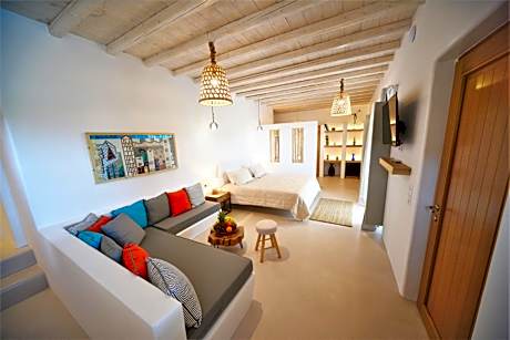 Executive suite with Plunge Pool