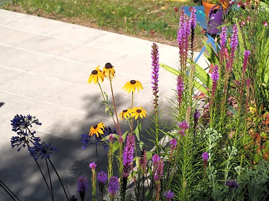 Les Vergers de Cussy