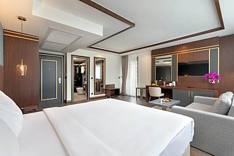 Premium Business Executive Room
