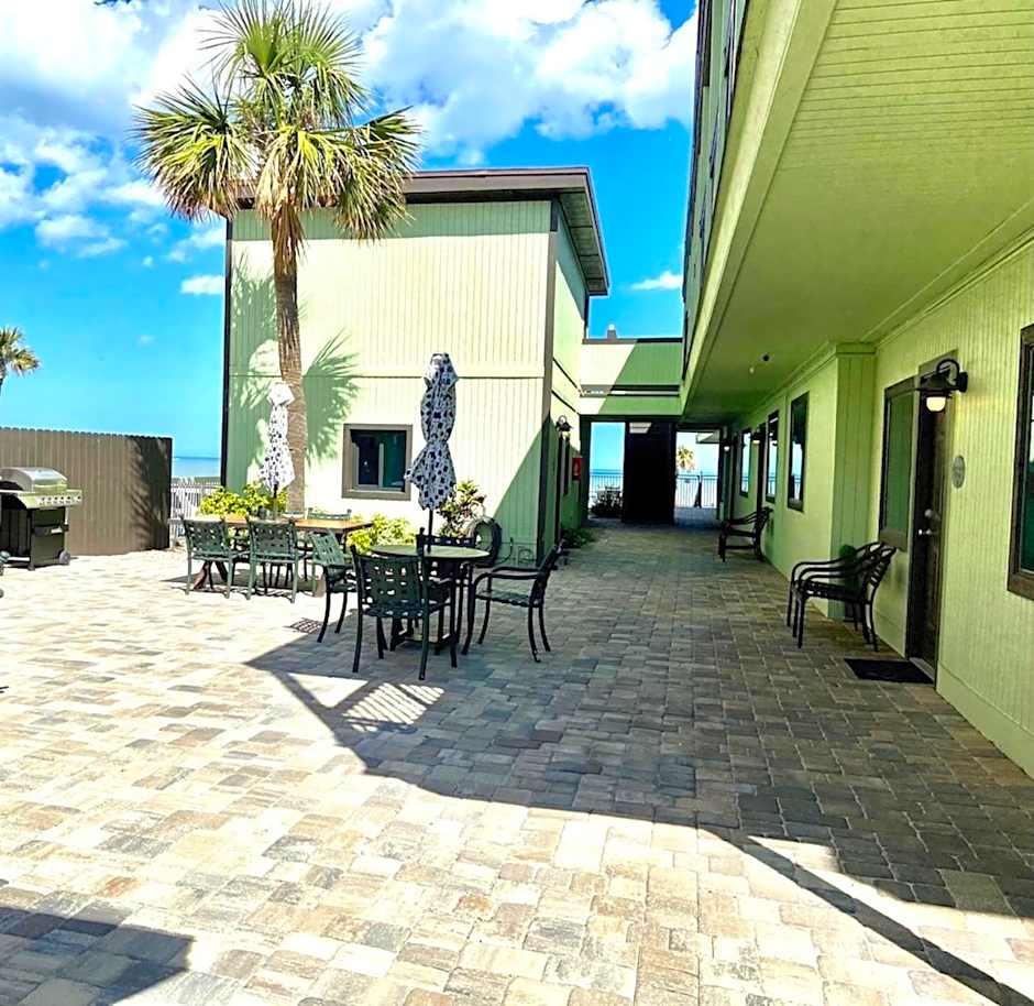 Organic Beach Retreat