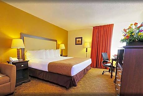 1 King Bed  Deluxe Suite  Non-Smoking