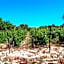 B&B La Vigna