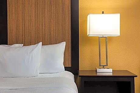 1 King Bed Suite Non-Smoking