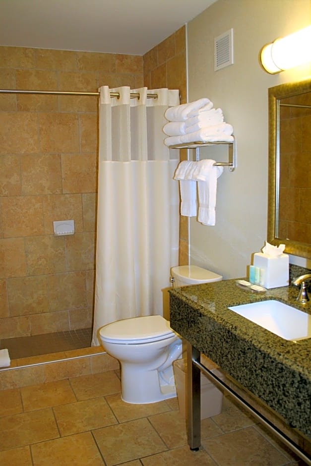 Clarion Inn & Suites Conference Center