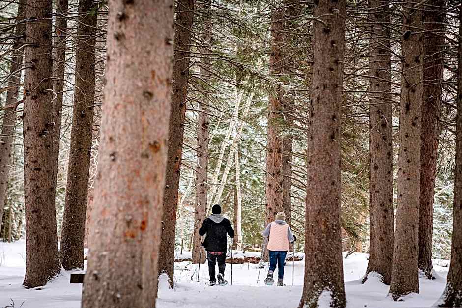Spearfish Canyon Lodge