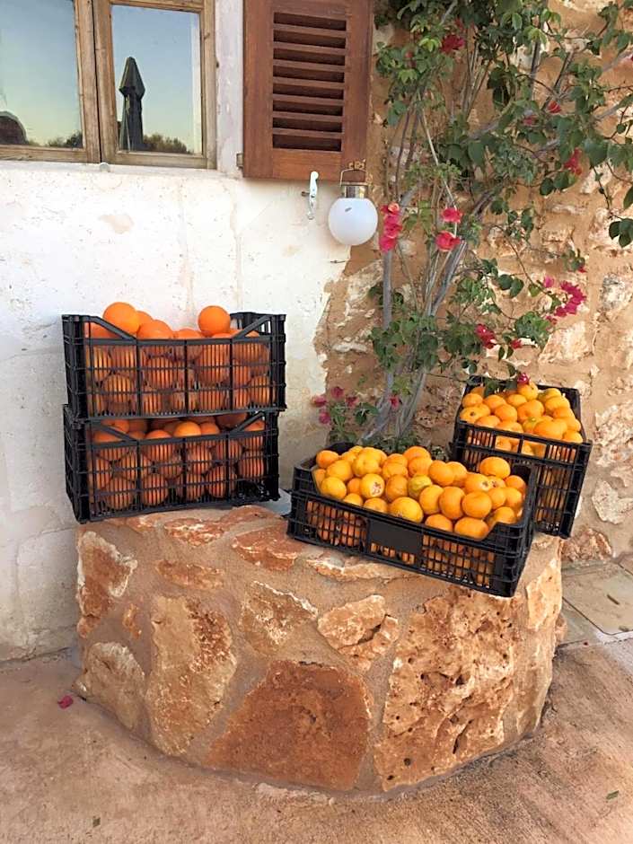 Agroturismo Fincahotel Son Pou