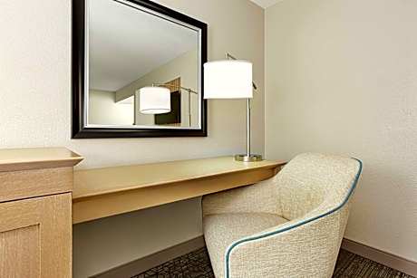 One-Bedroom King Suite - Non-Smoking