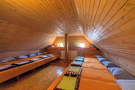 Single Bed in Mixed Dormitory Room