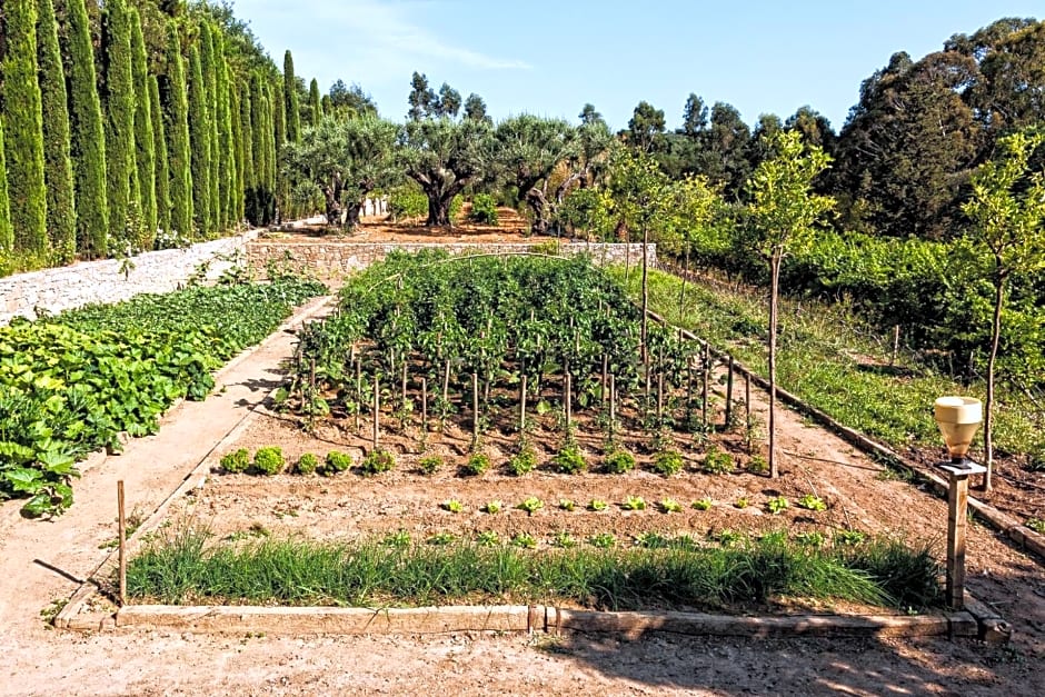 Domaine Les Mésanges