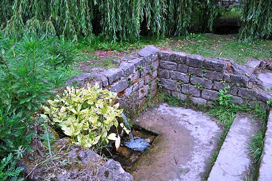 El Bosque de La Anjana