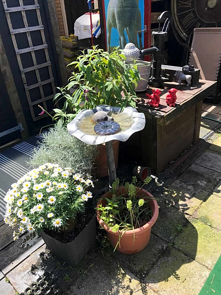 Bed & Breakfast Klokgaaf