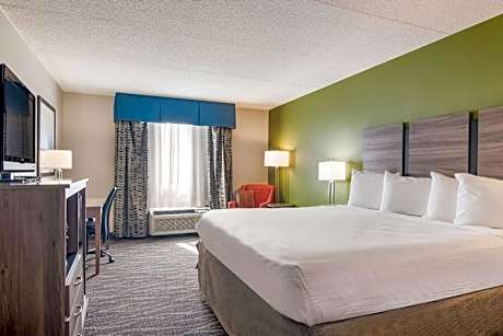 King Room - Non-Smoking