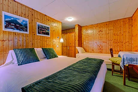 Comfort Double Room with Mountain View