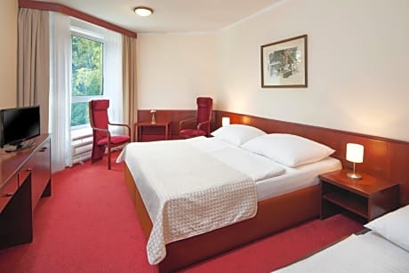 Standard  Double Room with Pool Access