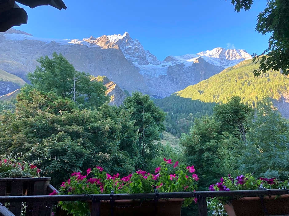 Hôtel des Alpes - Skiers & Bikers Lodge