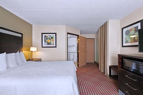 Accessible - 1 Queen, Mobility Accessible, Communication Assistance, Roll In Shower, Work Desk, Microwave And Refrigerator, Non-Smoking, Full Breakfast