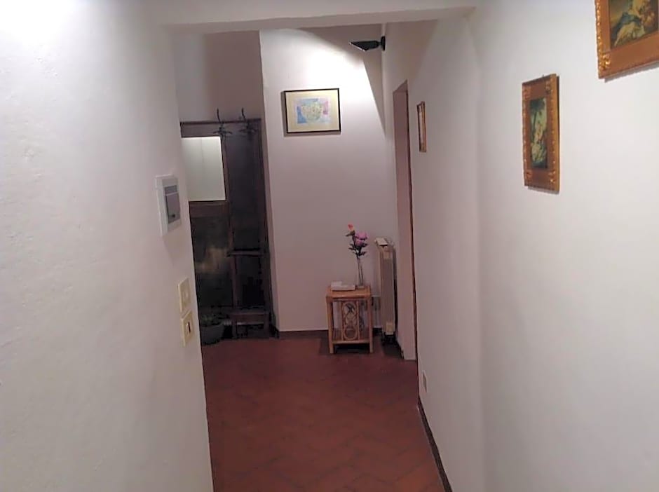 Vellutini Number One