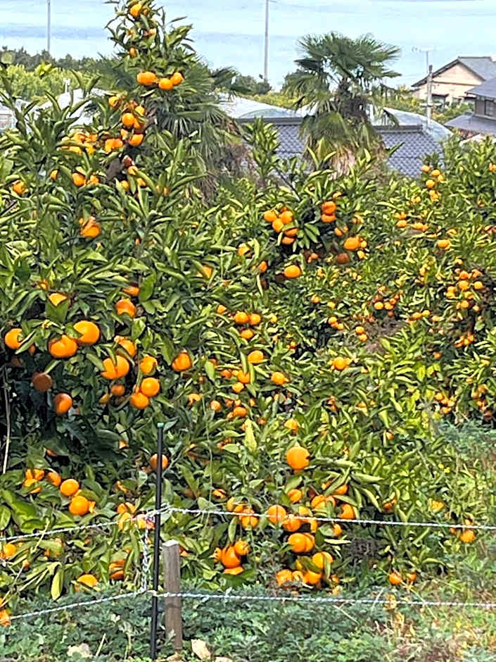 Cycle Guest House SHIOKAZE