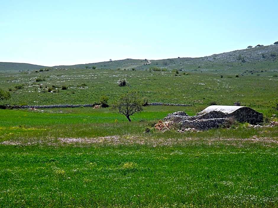Hotel Yria