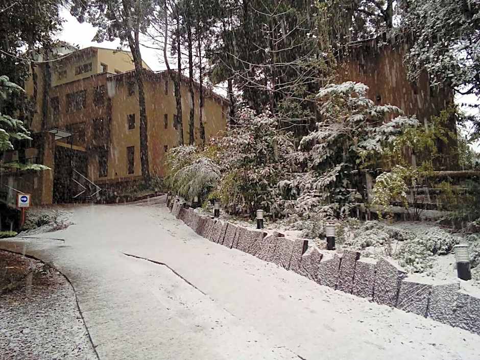 Boutique Hotel & Spa Bosque del Nahuel