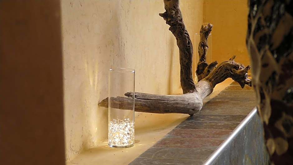 Hôtel Spa Mendi Alde