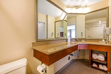 Standard Room, 1 King Bed, Accessible Tub, Non Smoking