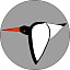 Oystercatcher