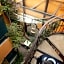 Chalet del Carmen, Coyoacán