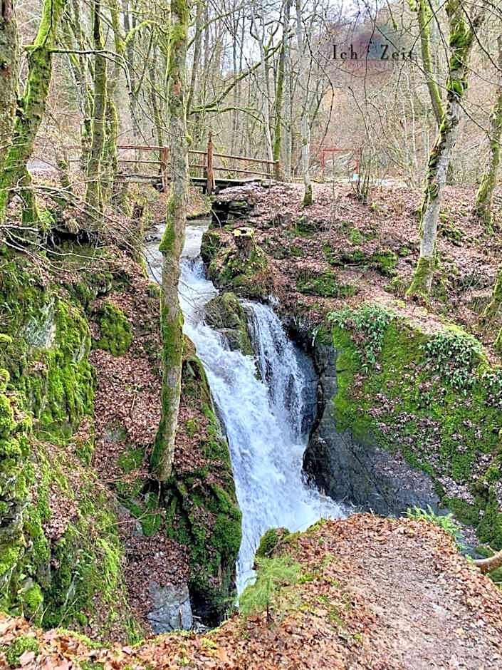 Hotel Haus Burg Metternich