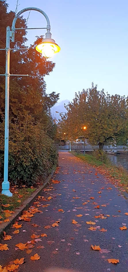 Painted Turtle Guesthouse