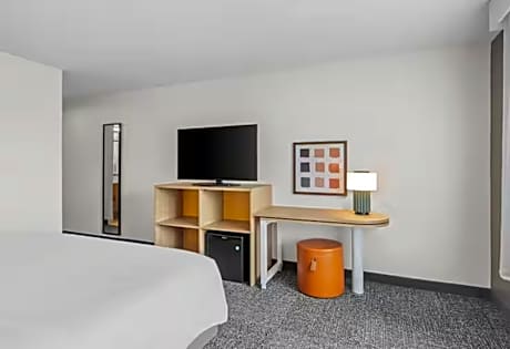 1 King Mobility/Hearing Accessible Ri Shower