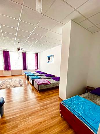 Single Bed in Mixed Dormitory Room